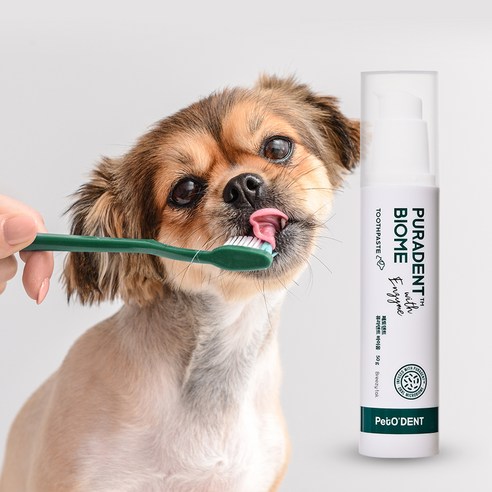 브리지테일 페토덴트 퓨라덴트 바이옴 강아지 고양이 겔 치약, 50g, 1개