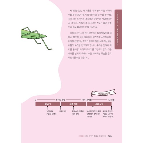 國產圖書圖書BOOK圖書圖書國產圖書兒童兒童幼兒小學生小學生小學生