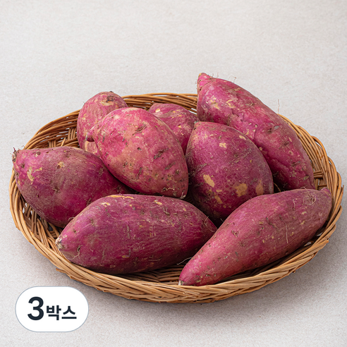 영암 호박고구마, 1500g, 3박스