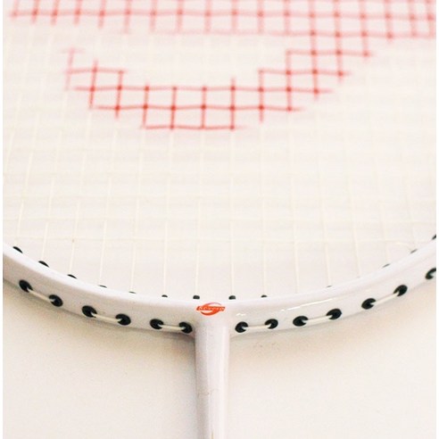 가족과 함께하는 즐거운 배드민턴