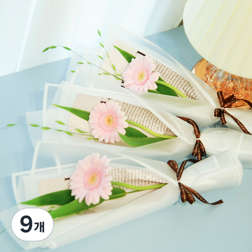 블뤼엔 생화 거베라한송이 꽃다발 3p, 러블리핑크, 9개