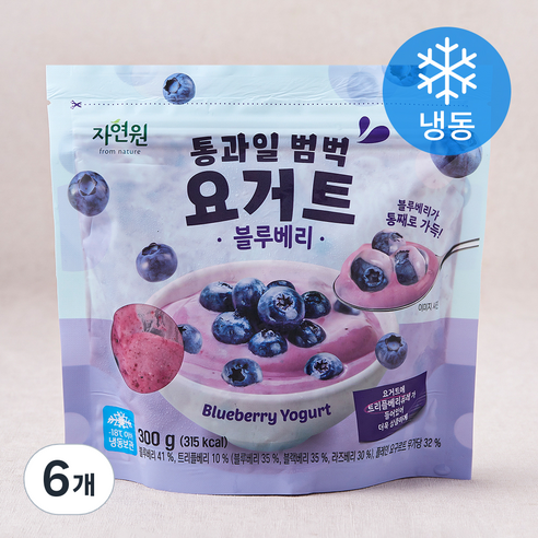 자연원 통과일 범벅 요거트 블루베리 (냉동), 300g, 6개