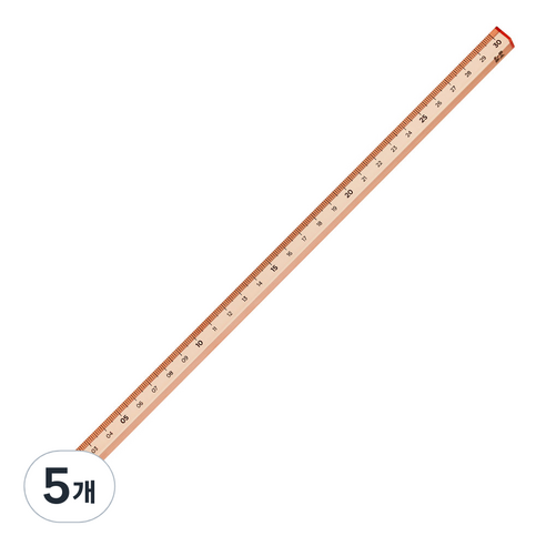 롭다 아크릴스틱자 30cm, Soil Pink, 5개