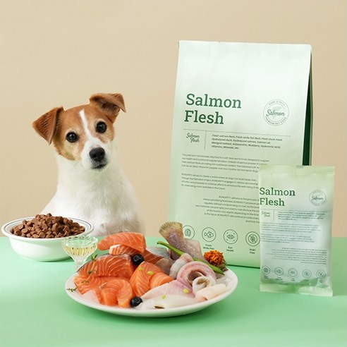 사랑하는 반려견의 빛나는 눈망울과 건강을 위한 최고의 선택, 본아페티 수제 건식사료