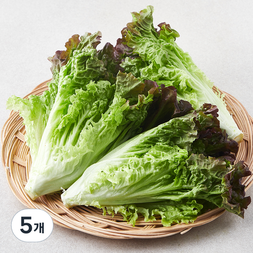 친환경 포기상추, 250g, 5개