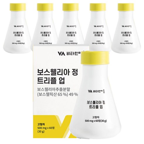비타민마을 보스웰리아 정 트리플 업, 6개, 30g