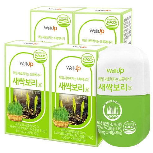 로엘 웰업 추출분말 새싹보리정, 60정, 30g, 4개