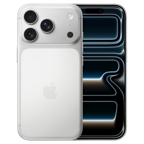 Apple 아이폰 17 Pro 자급제, 실버, 1TB