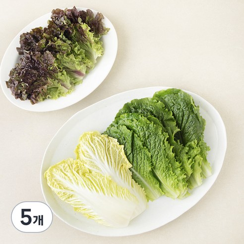 팜에이트 쌈채소, 150g, 5개