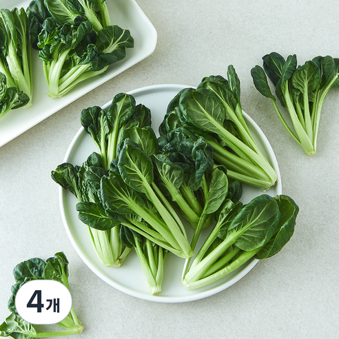 친환경 비타민, 4개, 150g