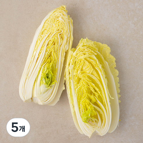 국내산 친환경 쌈용 맛배추, 400g, 5개, 400g