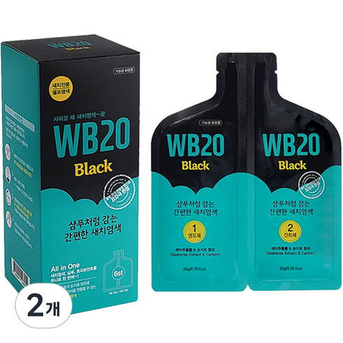 WB20 샴푸처럼 감는 간편한 새치 염색제, 블랙, 2개