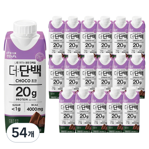 더단백 드링크 초코, 250ml, 54개