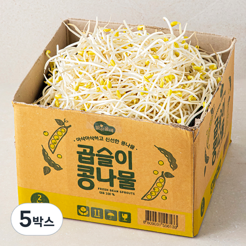 맑은물에 곱슬이 콩나물, 5박스, 2kg