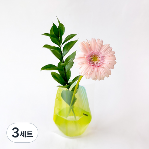 포켓플라워 생화 거베라 한송이 세트, 연핑크, 3세트