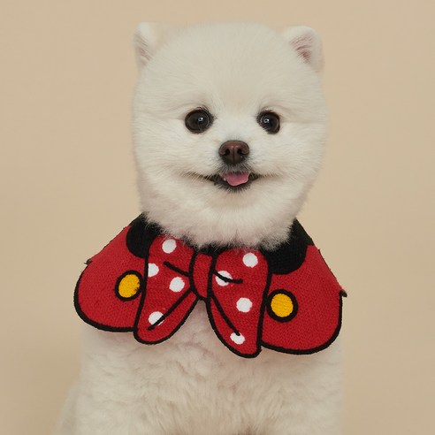 도그아이 강아지 고양이 케이프 스카프, 리본, M, 1개