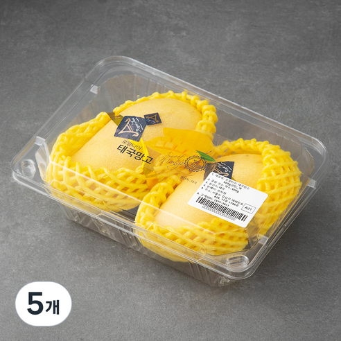 로얄타이 태국산 망고 2입, 500g, 5개