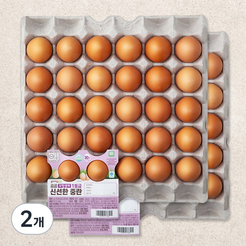 곰곰 무항생제 1등급 신선한 중란, 30구, 2개