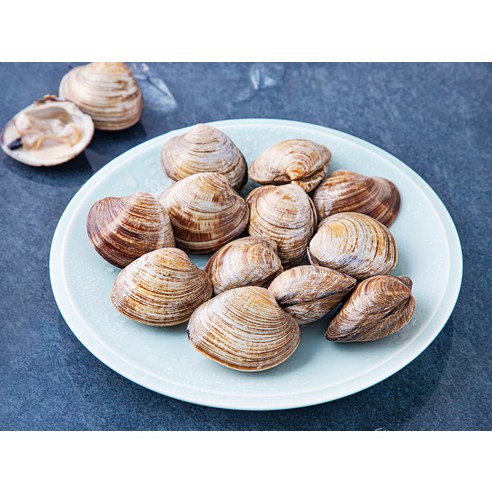 싱그러운 바다를 식탁으로, 생물 백합조개의 특별한 매력