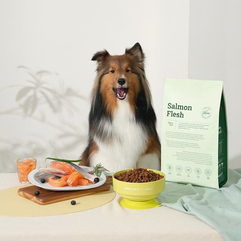 사랑하는 반려견의 빛나는 눈망울과 건강을 위한 최고의 선택, 본아페티 수제 건식사료