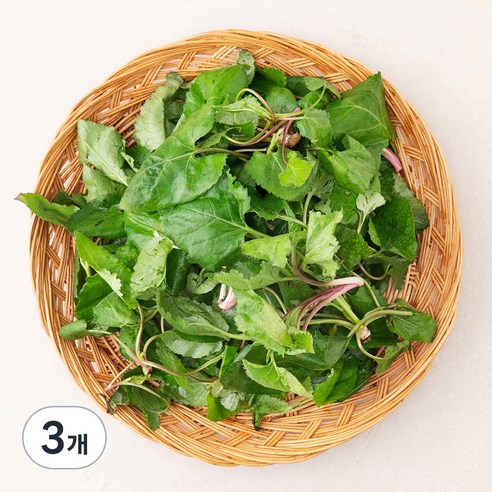 국내산 참취나물, 250g, 3개