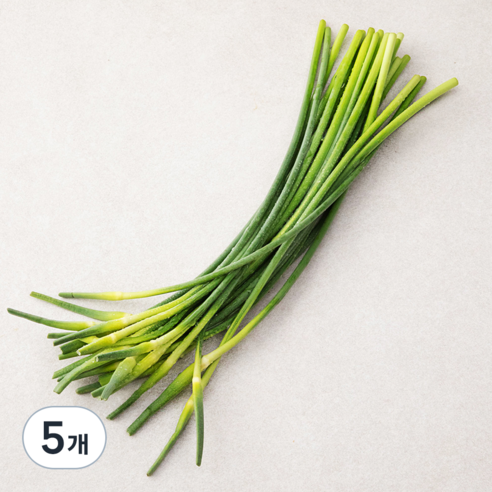 국내산 마늘종, 200g, 5개