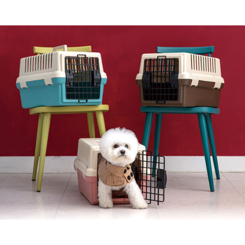 안전하고 편안한 이동, 푸르미 스페이스 이동장으로 안심하세요!