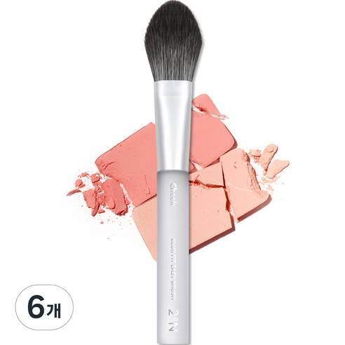 투에이엔 블러 핏 이지 브러쉬 치크 20g, 6개, 혼합색상