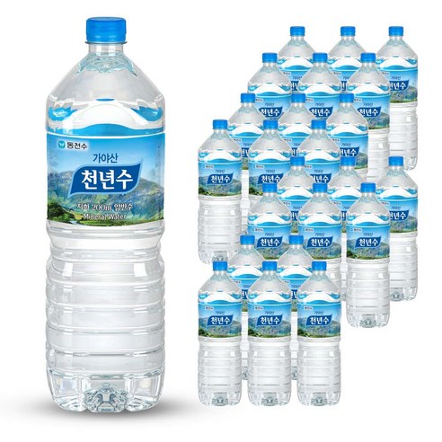 가야산 천년수, 2L, 24개