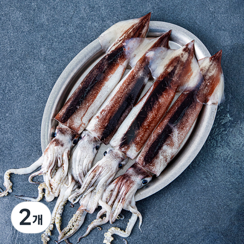 부산 13번 중매인 국내산 제철 생물 오징어 (냉장), 620g(4미), 2개