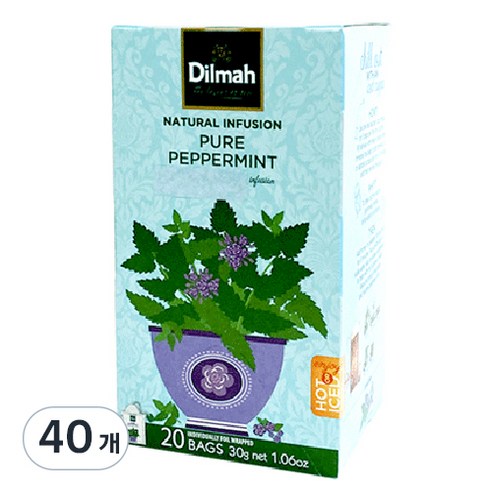 딜마 Funtea 페퍼민트, 1.5g, 40개, 1개