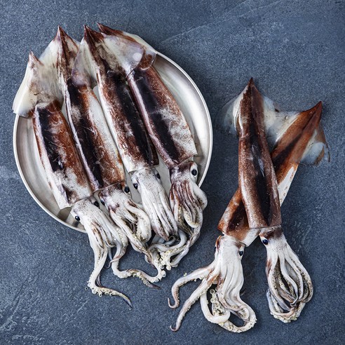 부산 13번 중매인 국내산 제철 생물 오징어 (냉장), 930g(6미), 1개