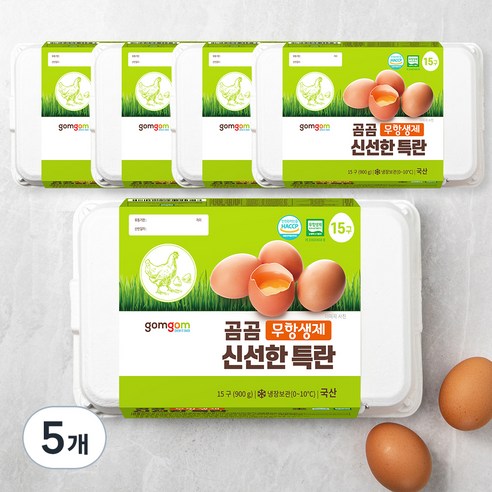 곰곰 무항생제 신선한 특란, 15구, 5개