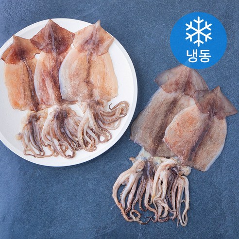 바다온 포항시 인증 구룡포건조 원양산 반건조 오징어 5미 (냉동), 550g (5미), 1개