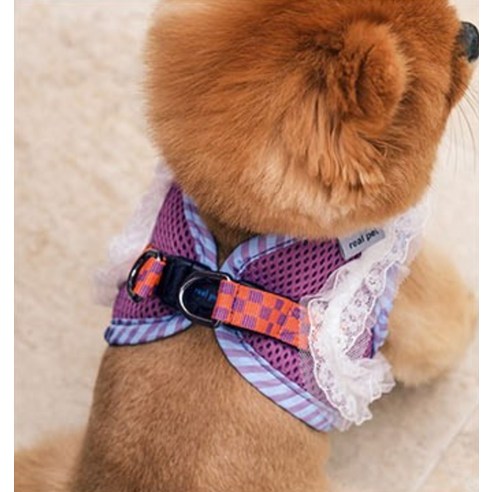 伴侶 寵物用品 小狗用品 背帶 寵物狗 狗狗 狗狗 小狗 小狗 寵物狗