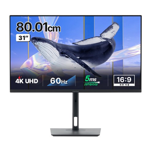 인터픽셀 4K UHD USB C타입 모니터, 80cm, IPU3210(일반...