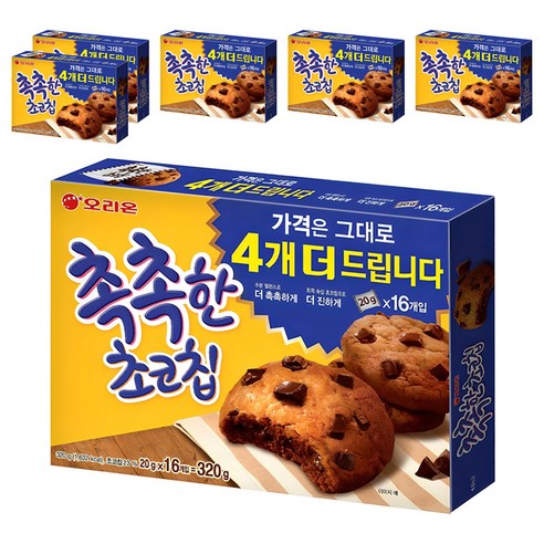 촉촉한초코칩