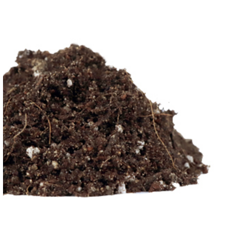 똥손도 금손되는 마법! 화분월드 다육이 전용 분갈이흙으로 건강하게 키워보세요.