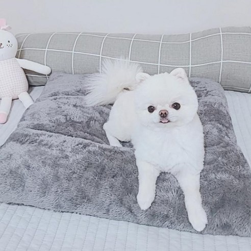 로마팸 반려동물 푹신 매트, 그레이, 1개