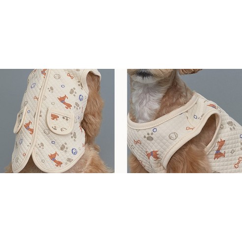 사랑스러운 강아지를 위한 완벽한 선택