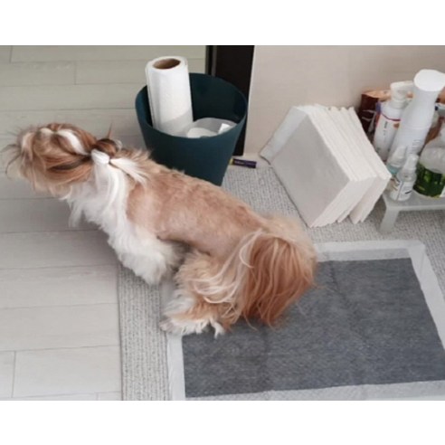 참숯 성분과 차콜 소재를 사용하여 효과적으로 냄새를 제거하고 안정적으로 액체를 흡수하는 에코펫위드 에코패드