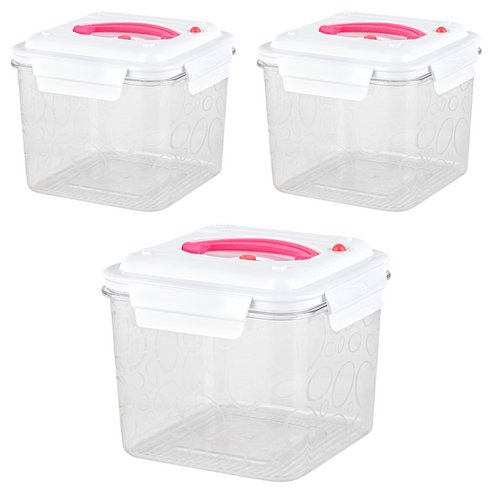이지앤프리 에어제로 진공 밀폐용기 2600ml, 3개