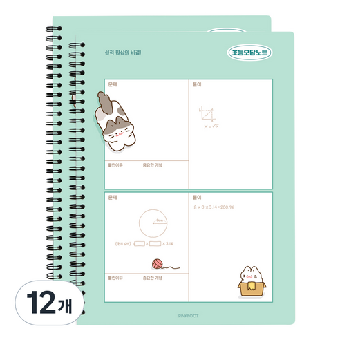 3000 냥냥 초등 오답노트, 민트, 12개
