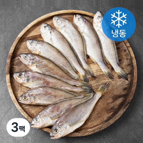 아라장 반건조 참조기 (냉동), 3팩, 700g(10마리)