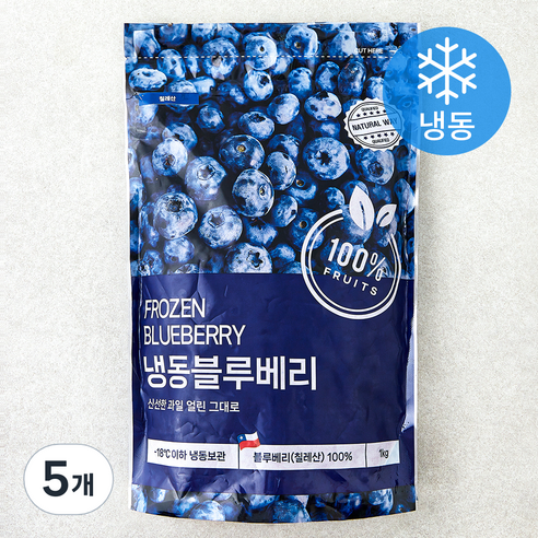 네츄럴웨이 칠레산 블루베리 (냉동), 5개, 1kg