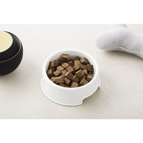 활력 넘치는 댕댕이 생활, 탐사 강아지 트릿 영양제로 되찾으세요