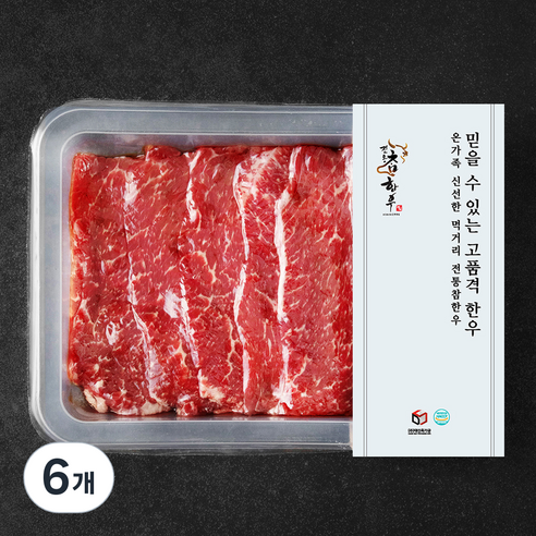 전통참한우 1등급 육전용 (냉장), 300g, 6개