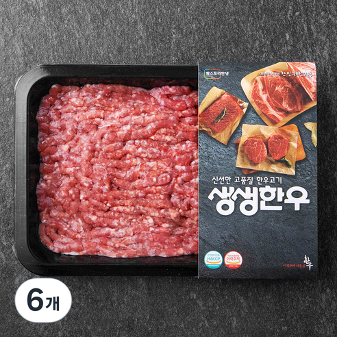 생생한우 1등급 다짐육 (냉장), 300g, 6개