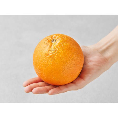 달콤함과 상큼함이 조화롭게 어우러진 프리미엄 스페인산 오렌지