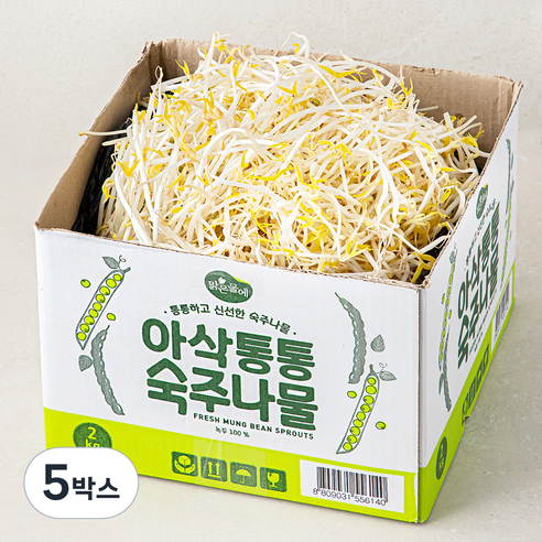 맑은물에 아삭통통 숙주나물, 5박스, 2kg